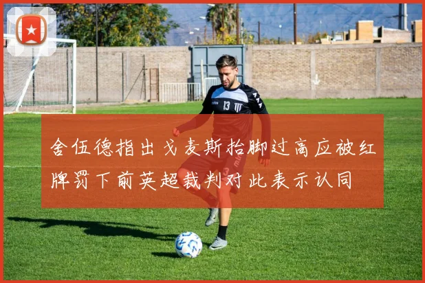 舍伍德指出戈麦斯抬脚过高应被红牌罚下前英超裁判对此表示认同