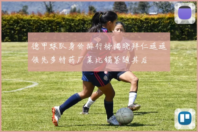 德甲球队身价排行榜揭晓拜仁遥遥领先多特药厂莱比锡紧随其后